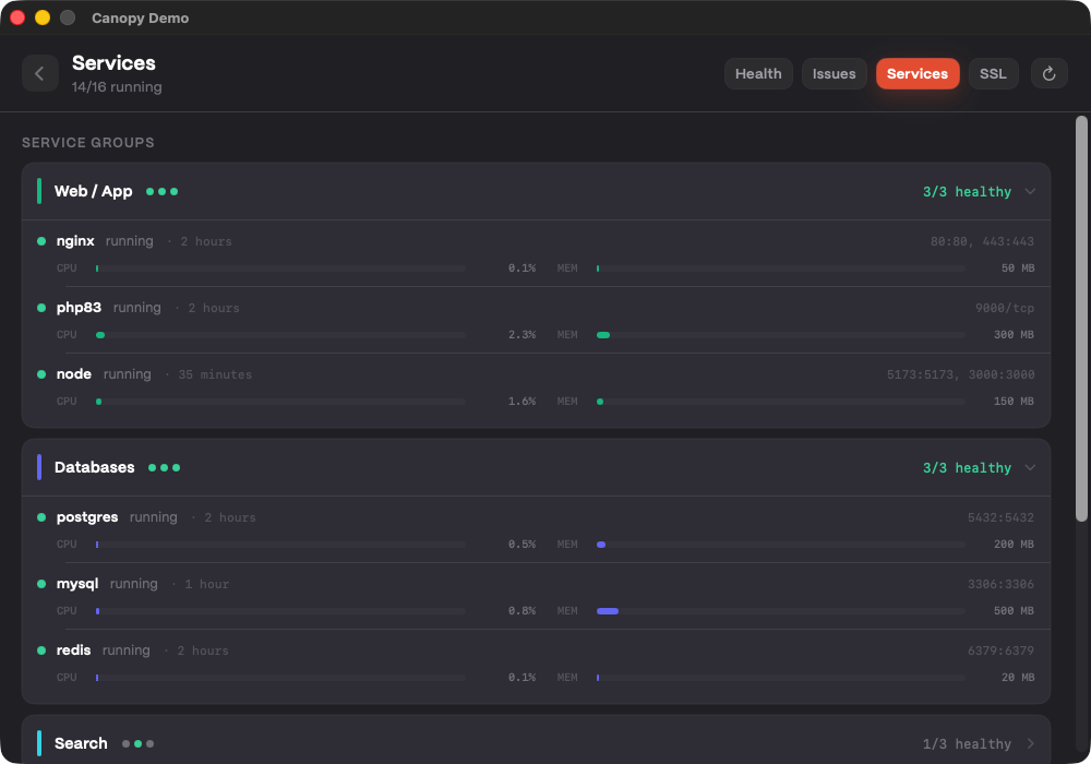 Database-focused management view used as backup-manager placeholder