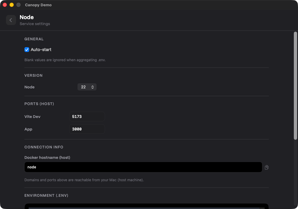 Service settings editor for ports and runtime options